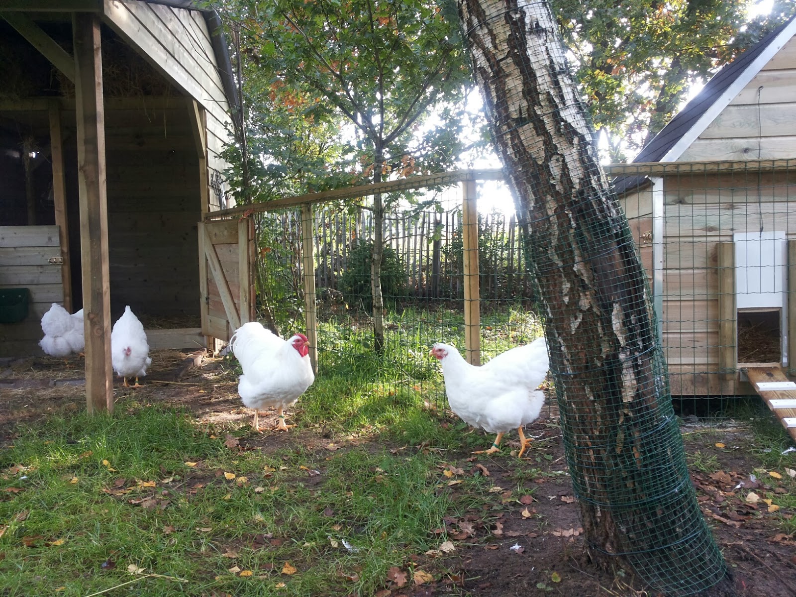 Inspiratie Blumzdesign Wie zoet is krijgt