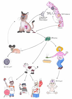 toxoplasma-gatos-parasitos-tierra-leche