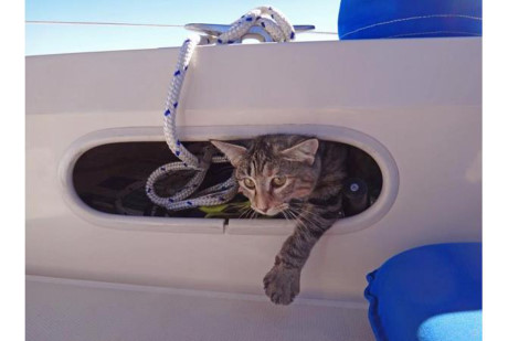 Ban toan bo tai san de di vong quanh the gioi tren bien - Anh 7