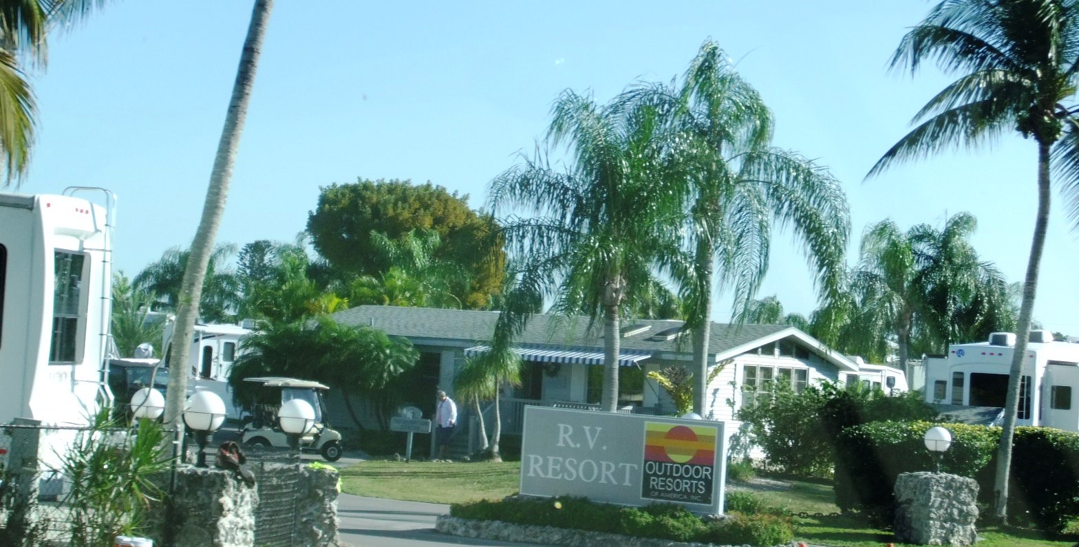 TanksPanky December 2011