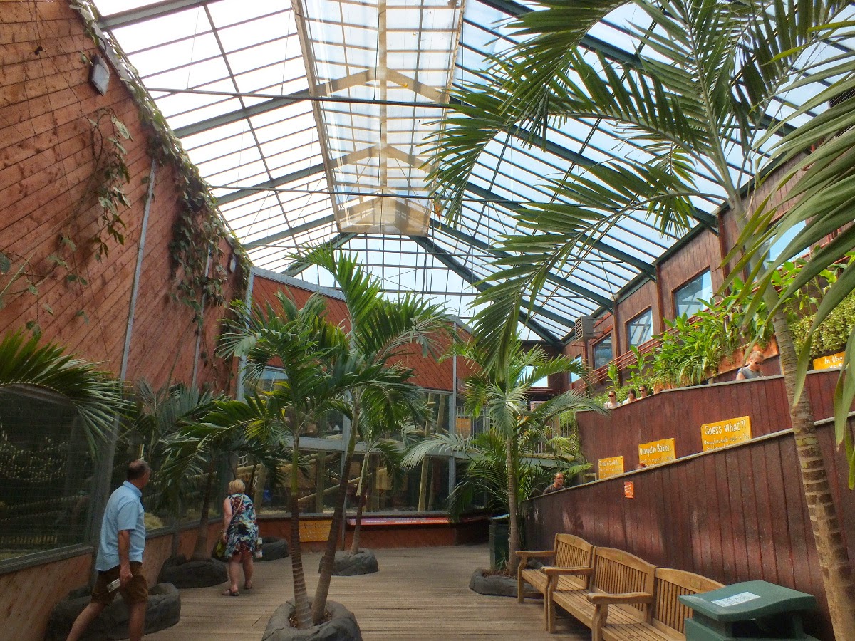 Zoo Ratings: Zoo Rating: Colchester Zoo