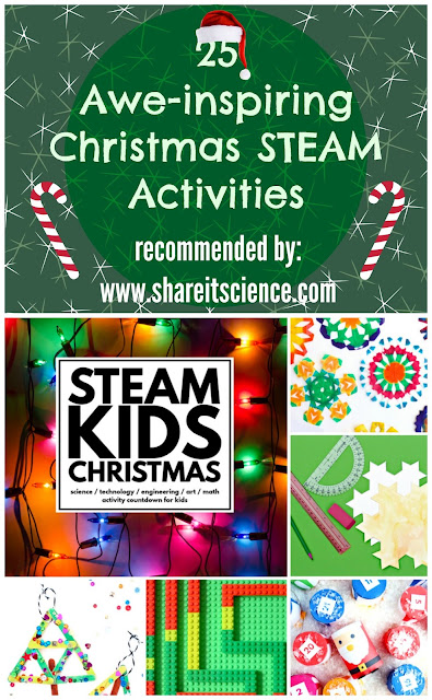 http://steamkidsbooks.com/product/steam-kids-christmas/ref/26/