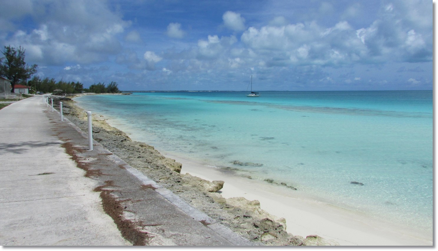 Venture Minimalists Rake 'n' Scrape Music Festival, Arthur's Town, Cat