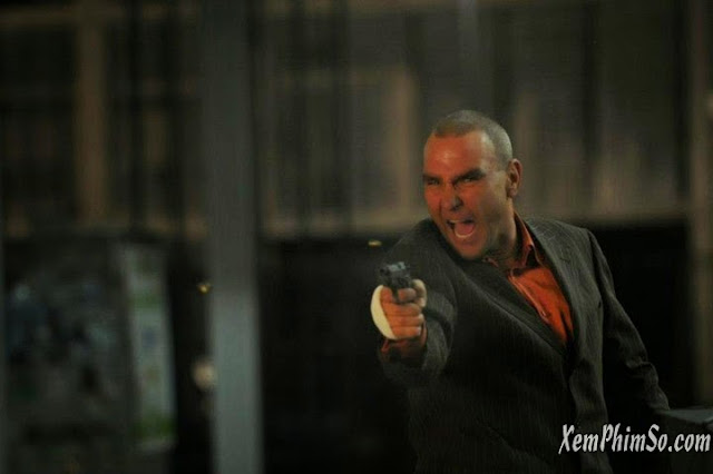 Cuộc Phiêu Lưu Bất Đắc Dĩ