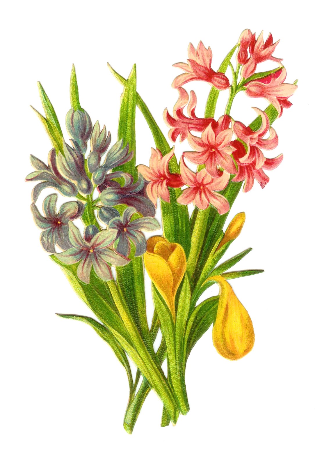 free victorian flower clip art - photo #39