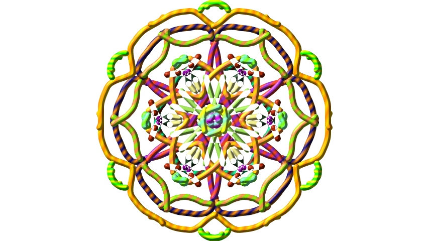 flowers for flower lovers.: Arts designs.