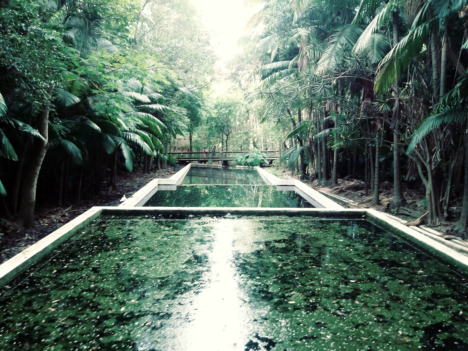 Parque da Água Branca Parque da Água Branca