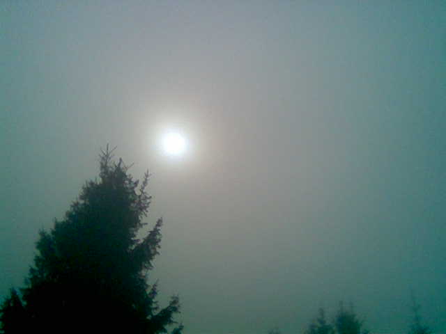 Viocomsa Acum Eclipsa De Luna In Penumbra Din 7 August 2017