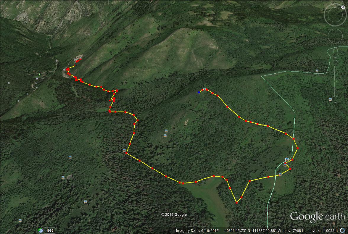 Hiking the Pine Hollow Trail Girl on a Hike