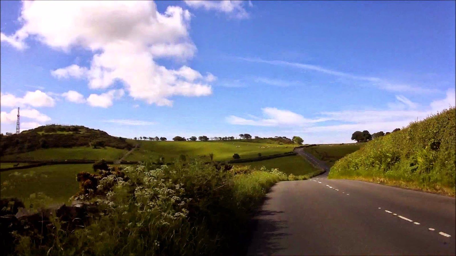 the dundonald hill beast