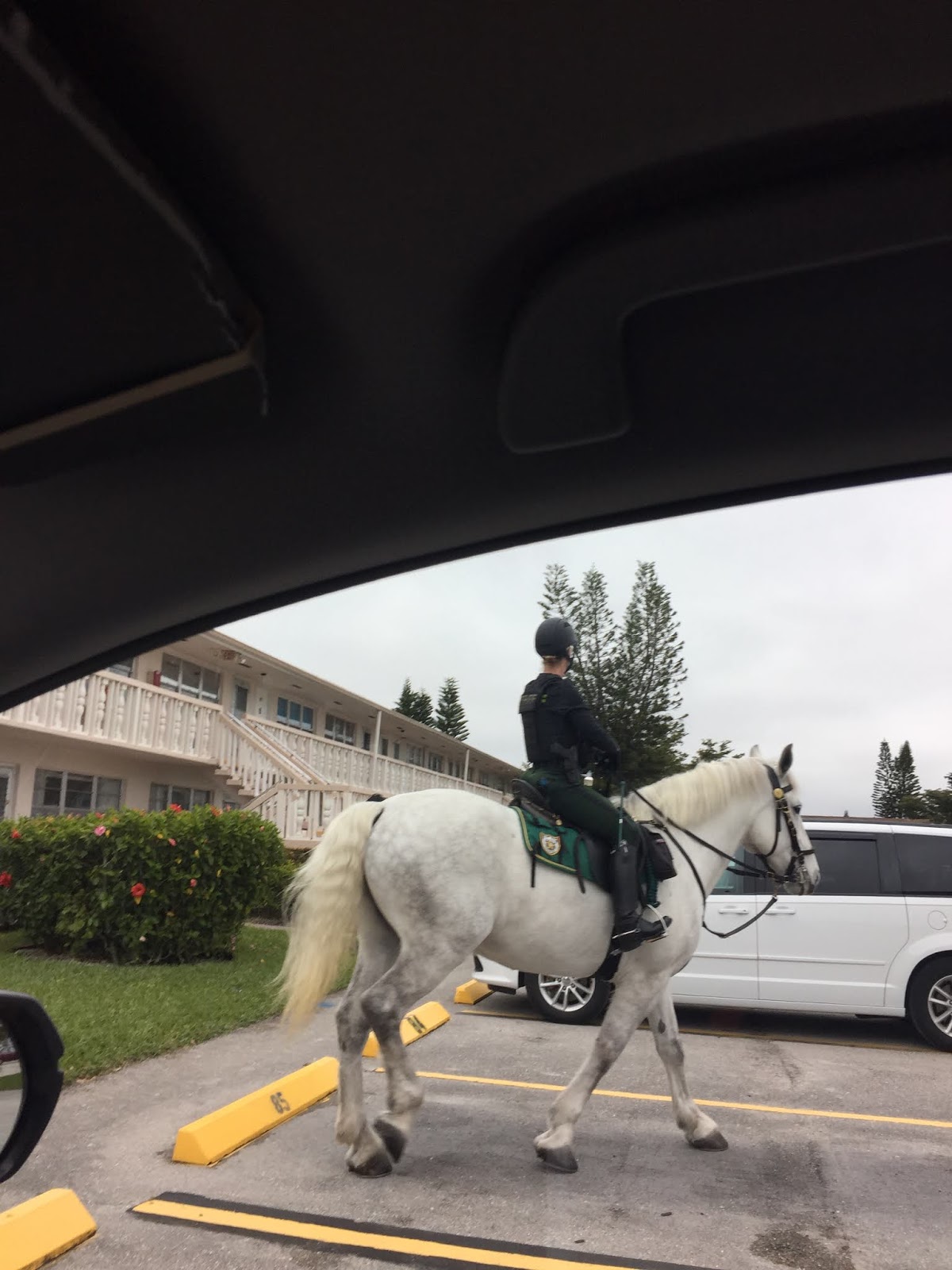 OUR VILLAGE in West Palm Beach Pet Friendly