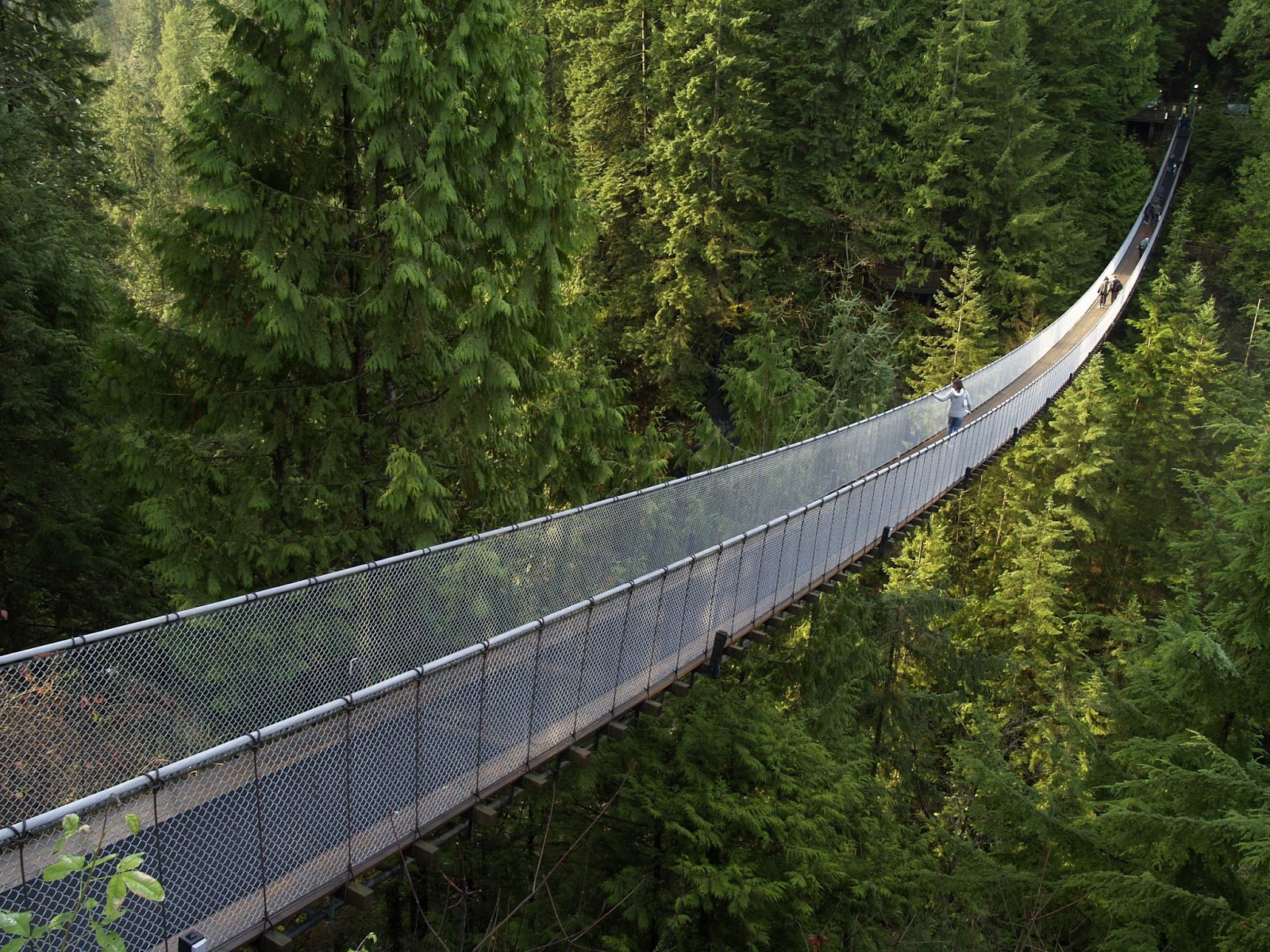 Terry's Travel Capilano Suspension Bridge, Vancouver