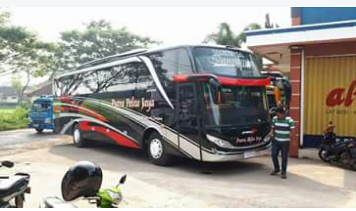 Putra Pelita Jaya: Mengarungi Jalan Raya, Membawa Kenangan Indah