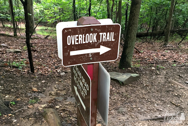 The Maryland Heights Trail, a 4 mile hike just off from the Appalachian Trail, is a challenging hike with rewarding views of Harpers Ferry and the Potomac & Shenandoah Rivers.