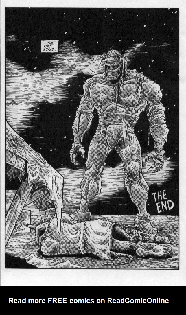 Teenage Mutant Ninja Turtles (1984) Issue #55 #55 - English 27