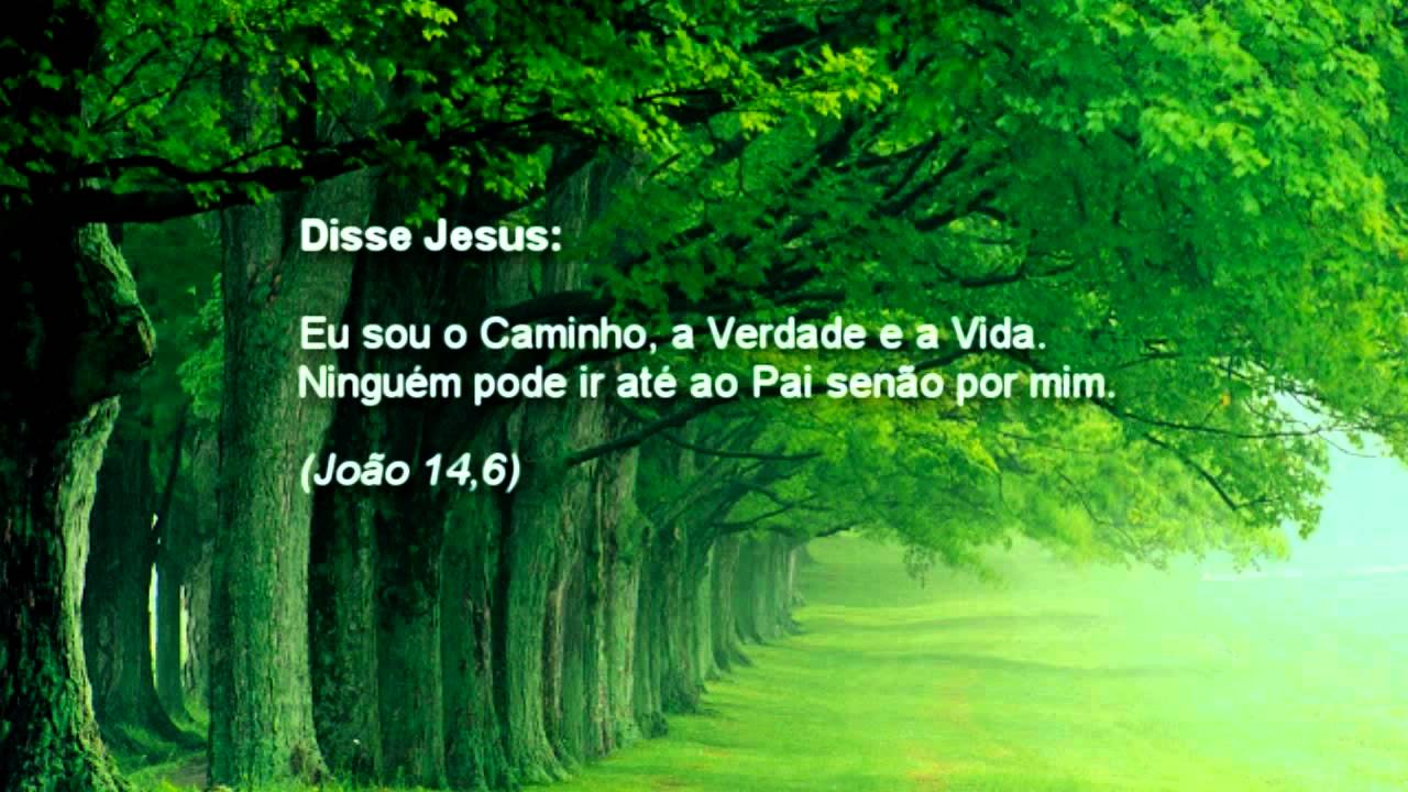 COMPARTILHAR Versículos do dia Jesus, O
