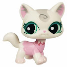 Littlest Pet Shop LPSO com Cat (#1699) Pet