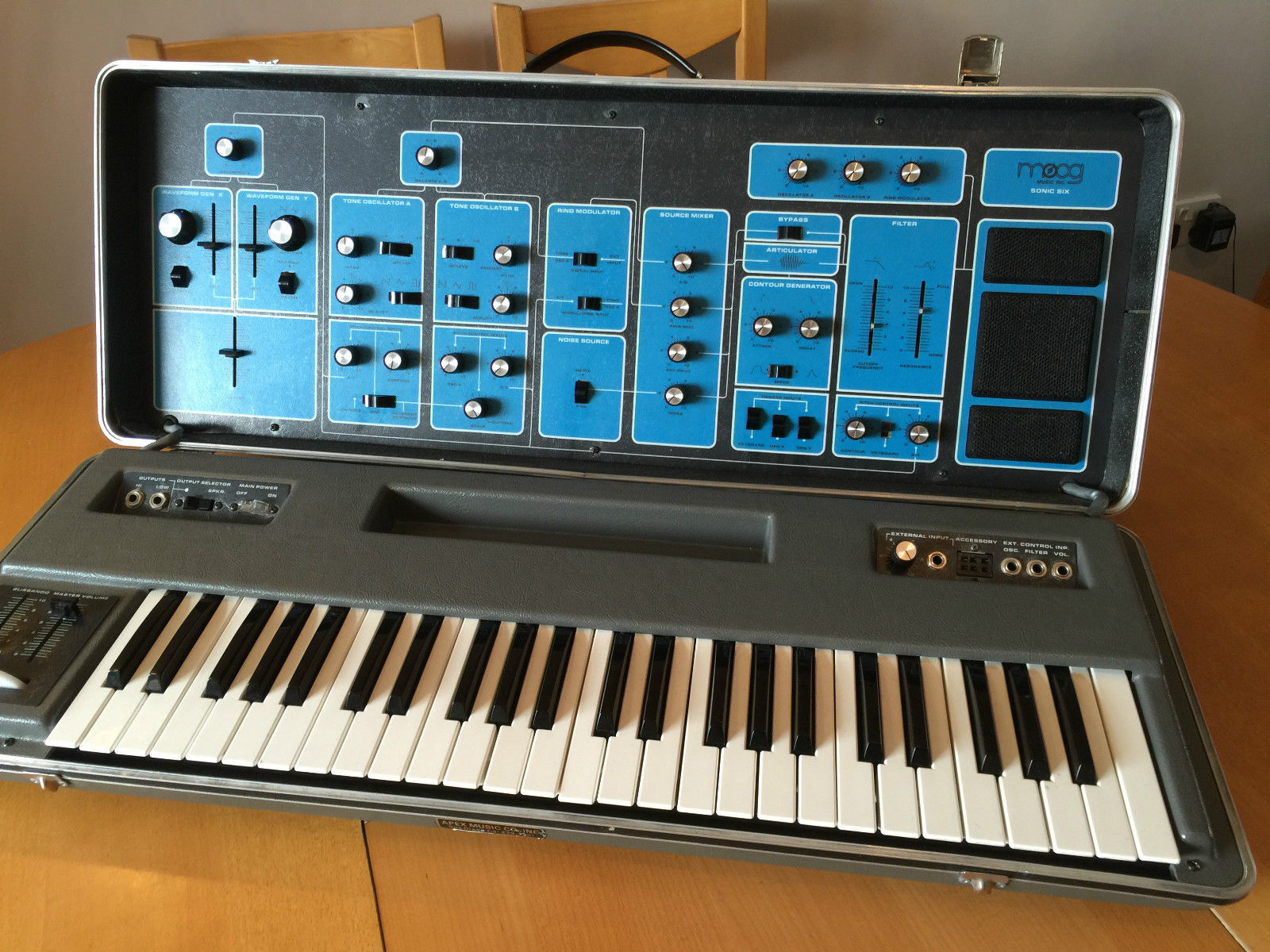 MATRIXSYNTH Moog Sonic 6