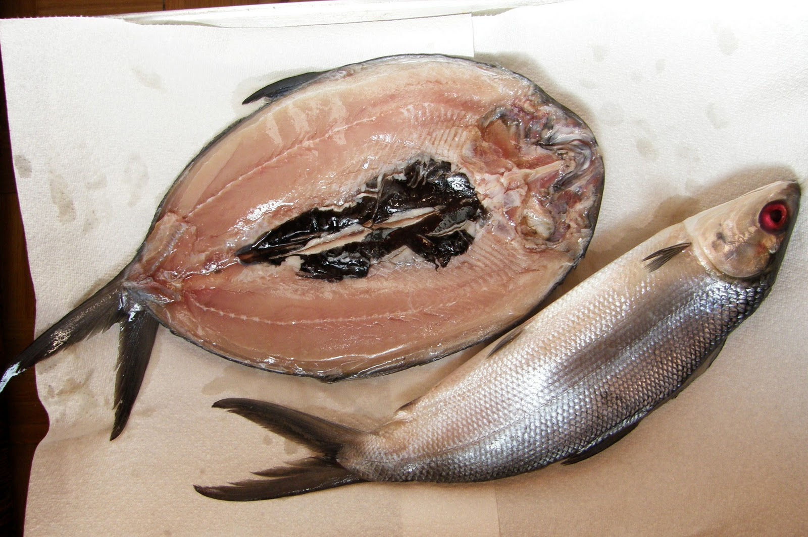Characteristics of Milkfish Bangus or Bandeng Frozen Milkfish, Buy