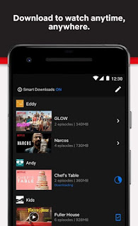 Netflix v6.16.0 build 31508 Paid APK Netflix v6.16.0 build 31508 Paid APK