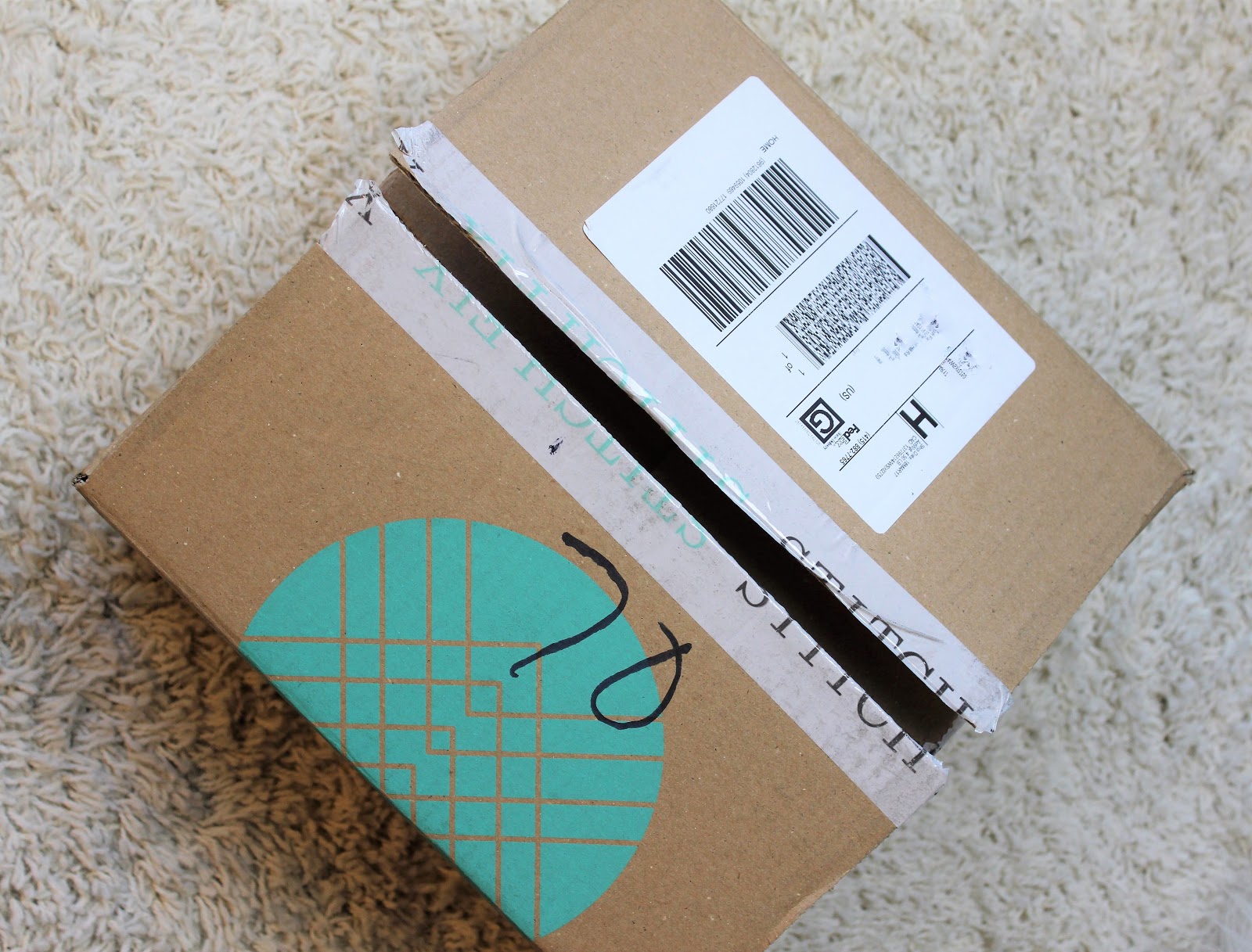 Stitch Fix Now Offers Plus Sizes and I'm Reviewing My First Box FabEllis