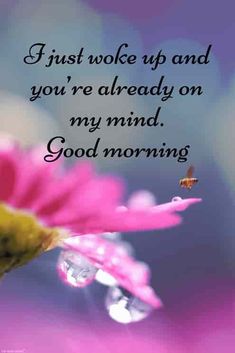 good morning friend images