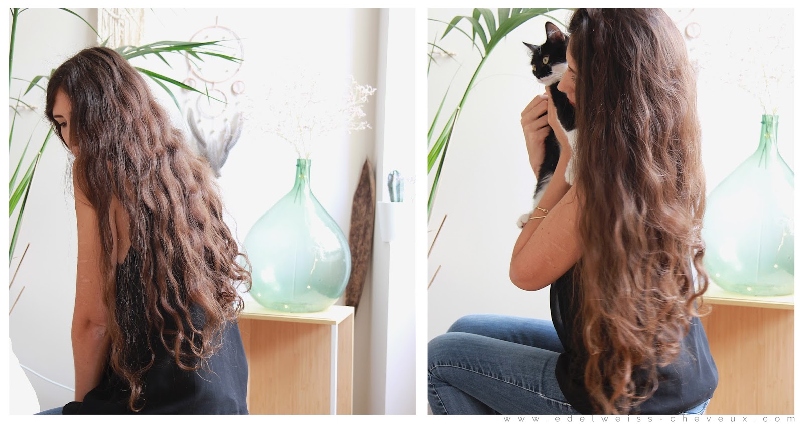 Images 100 Plume Pour Les Cheveux Chignon Facile Notre Top 3 Des dernière