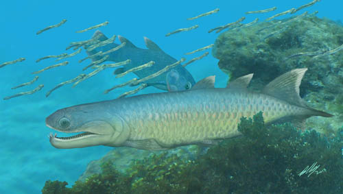 Devonian fish provides unique insights into the early ...