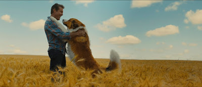 A Dogs Journey Movie Image 3