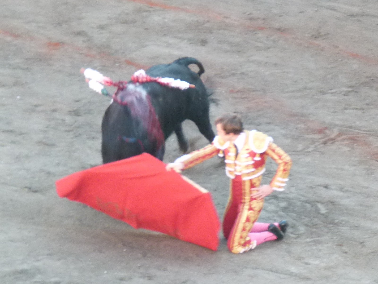 EL Rincón de Ordóñez EL ENCIERRO DE PAISPAMBA CARNE DE MATADERO