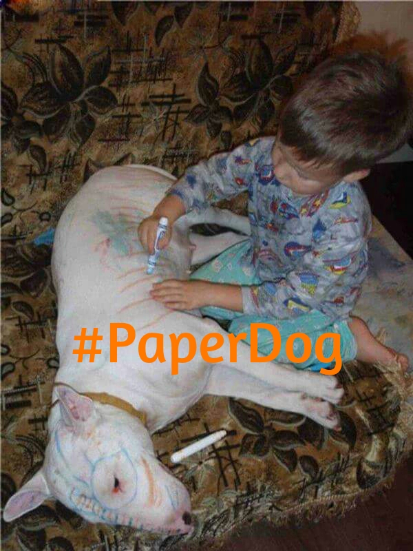 niño pintando a su perro con hashtag