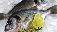 Tips Cara Menyimpan Ikan Di Kulkas Yang Benar Agar Awet