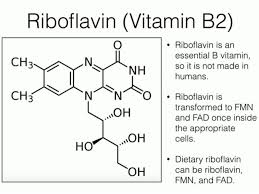 riboflavin-www.healthnote25.com