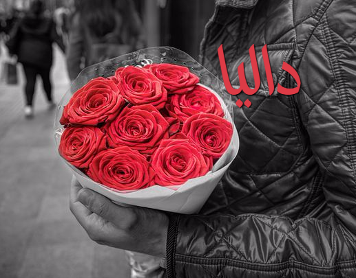 معنى وصفات اسم داليا المعنى والصفات الخاصة باسم داليا مجلة حلم البنات