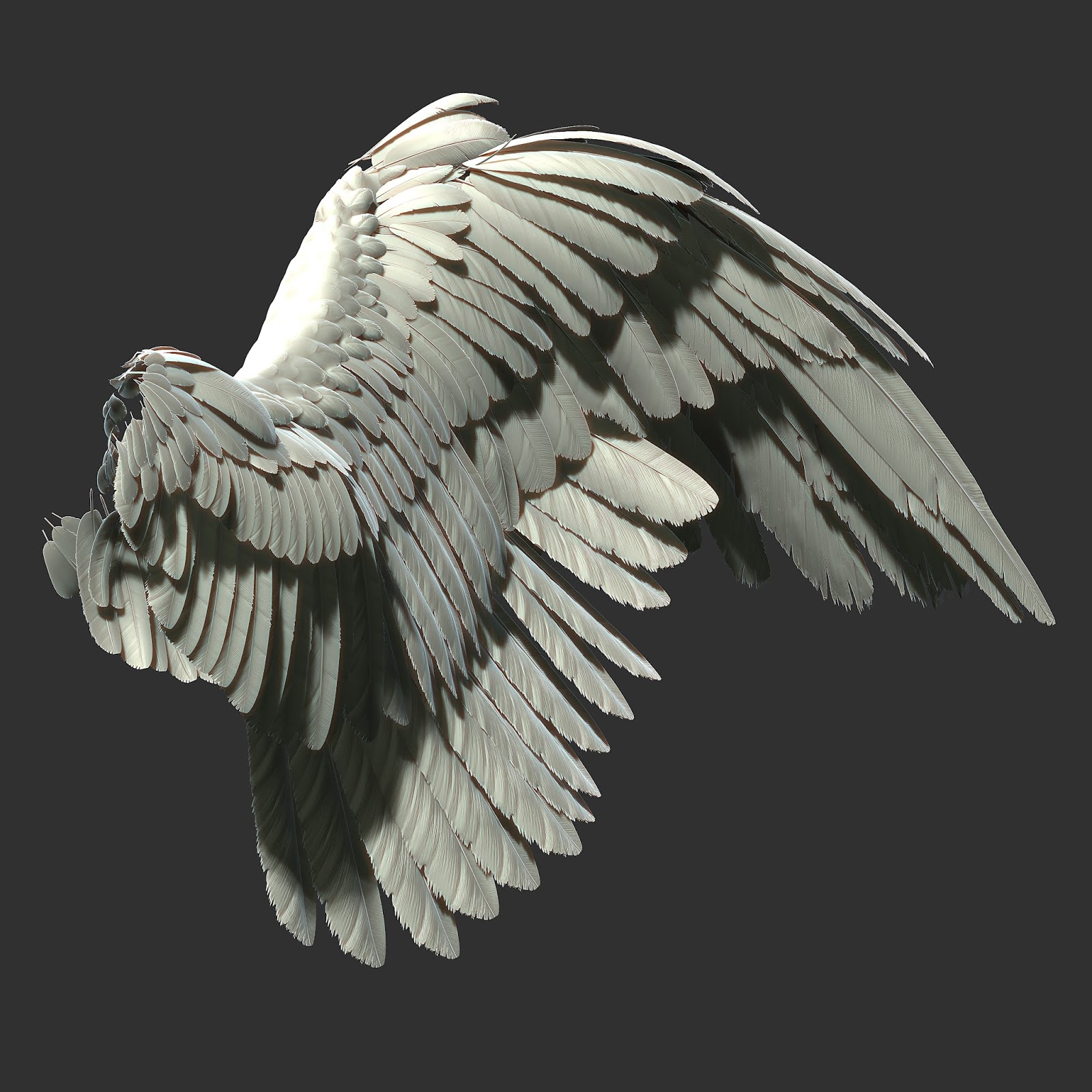 zbrush bird