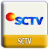 Live Streaming SCTV server 2 HD