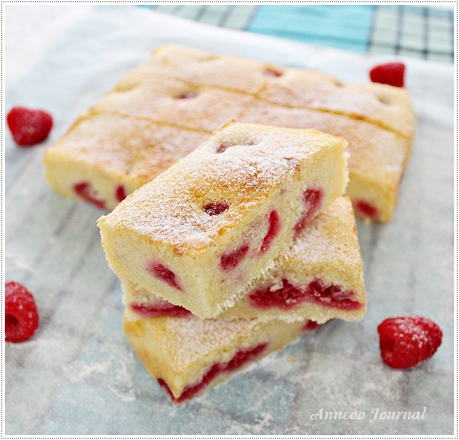 Raspberry Slice Anncoo Journal