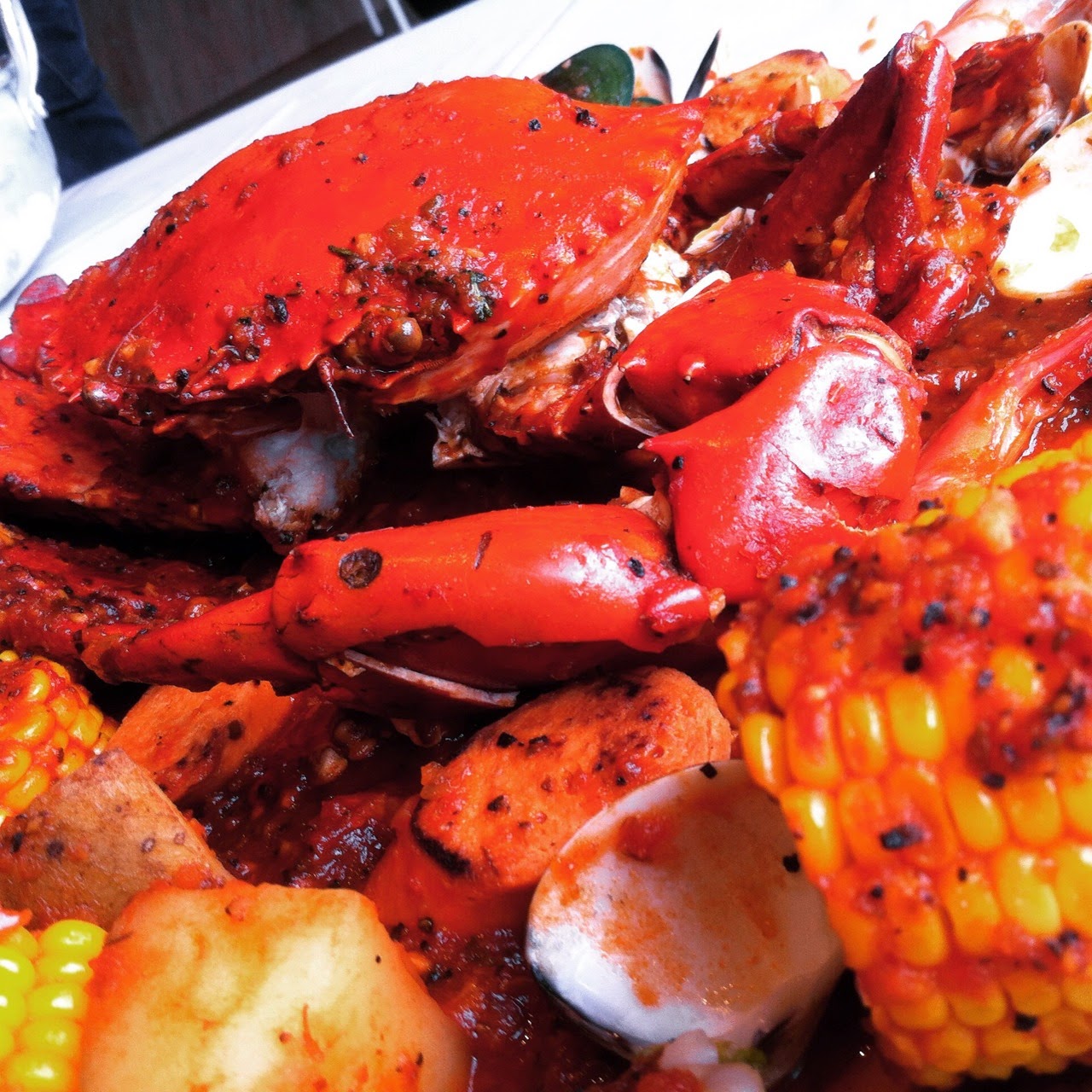 Lets Dance With Dancing Crab HUNGRY LIONS