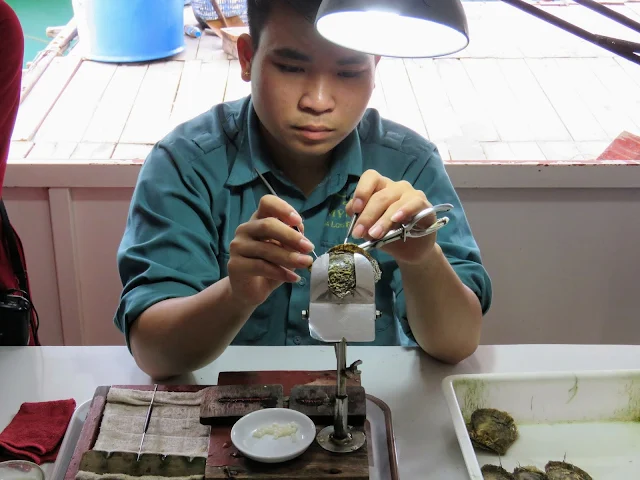 Extracting pearls in Halong Bay Vietnam