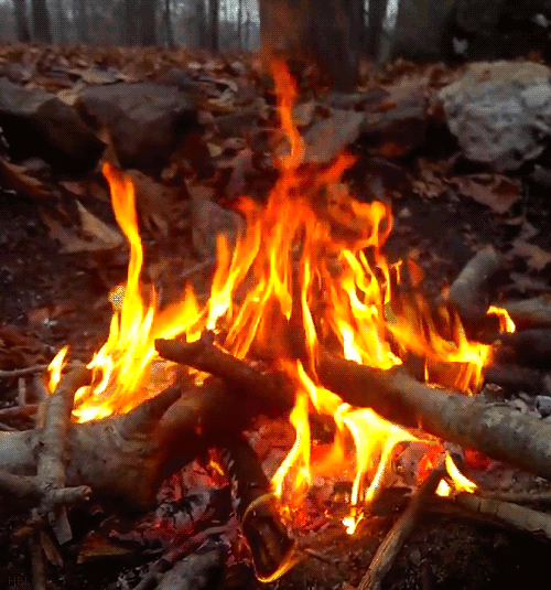 Campfires ~