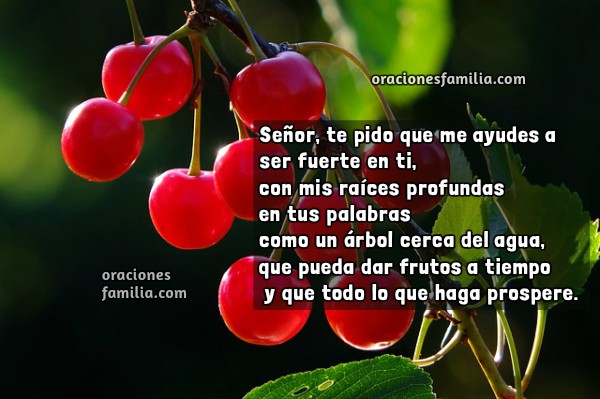 Oración corta cristiana para que Dios bendiga mi vida, bendiciones, obediencia a Dios, oración de entrega con salmo 1, Ayúdame a no pecar Señor. Oraciones Familia por Mery Bracho.