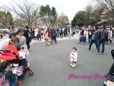 上野公園茉莉玩耍照 上野公園茉莉玩耍照