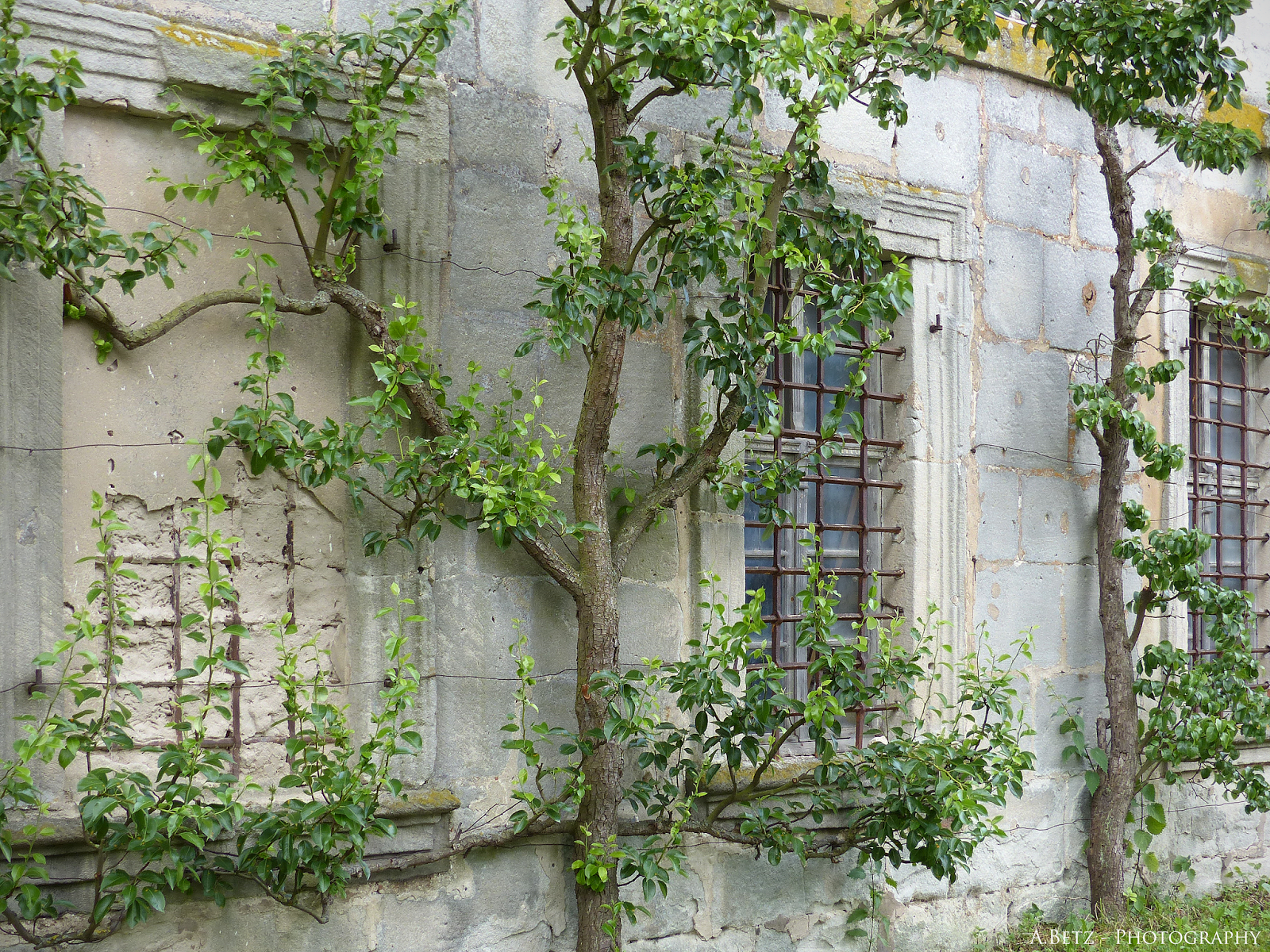 Jobs Die Bewegen Und Begeistern Bei Den Schrittmachern