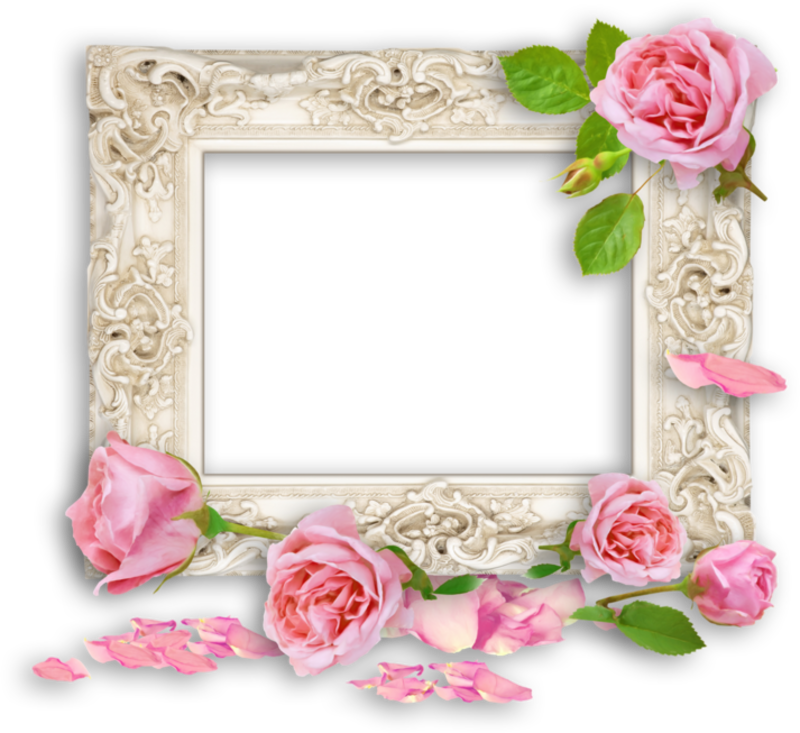 pink roses frames