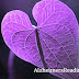 How to Connect With A Person Living with Alzheimer's Looking for Meaning Behind the Words