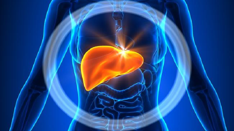 "القاتل الصامت" يعيش معنا ولا ندركه!