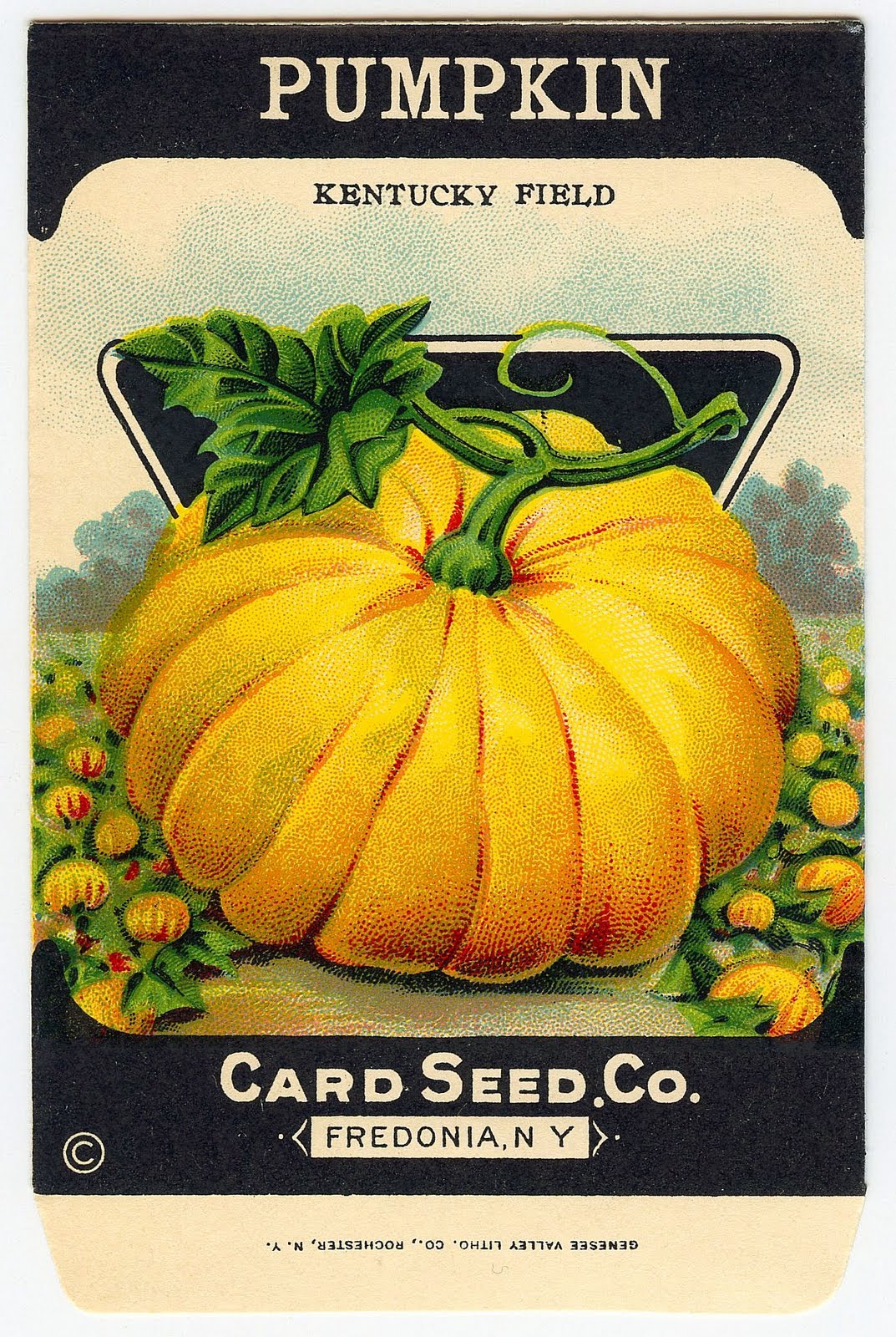 Fresh Vintage By Lisa S Printable Vintage Pumpkin Seed Packet