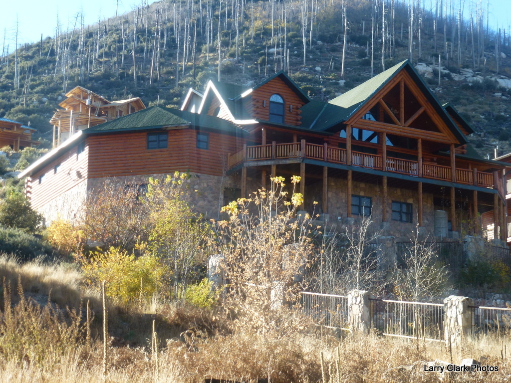 Road Runner Mt. Lemmon & Summerhaven