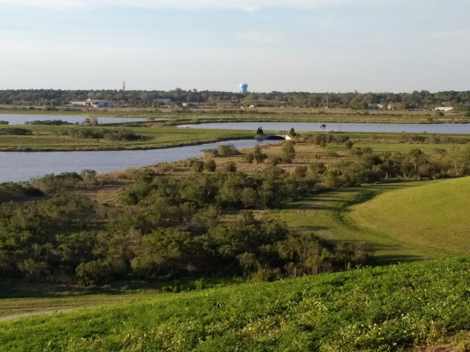 Citizens for Sarasota County 220 bird species at Celery Fields