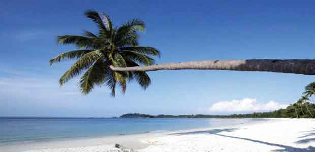  Hamparan pantai dan hutan nan hijau menjadikan Pulau Bintan bagaikkan permata ditengah Wisata Pulau Bintan - Surga Bagian Barat Indonesia